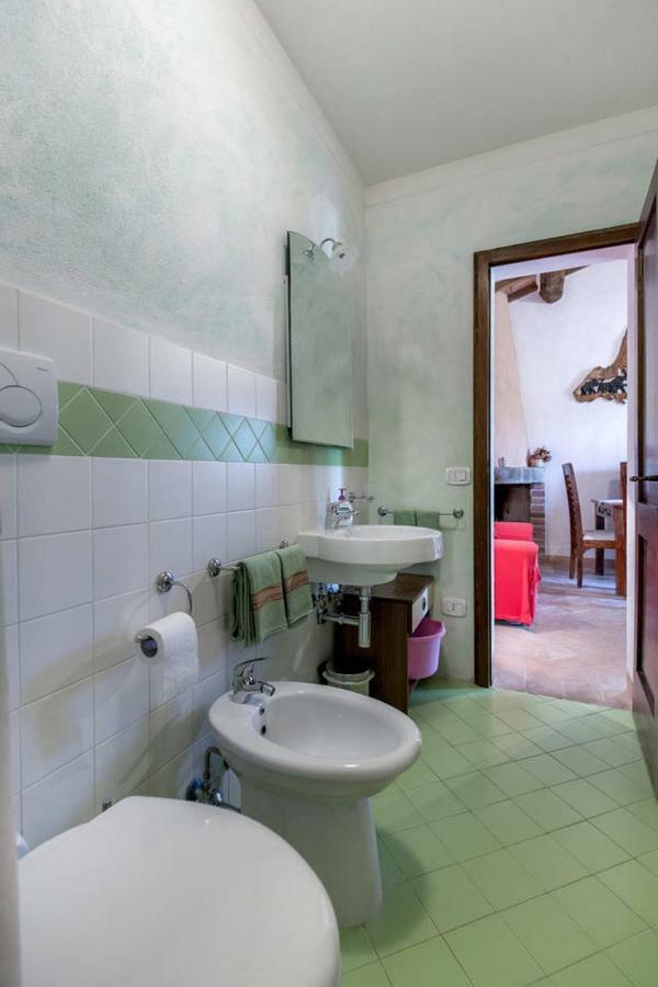 La Casina Degli Olivi ξενώνας Seggiano Εξωτερικό φωτογραφία